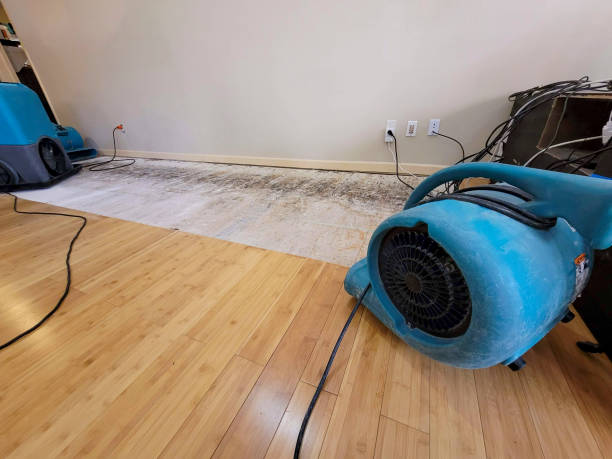 Professional Water Damage Repair technician working in Potrero, CA